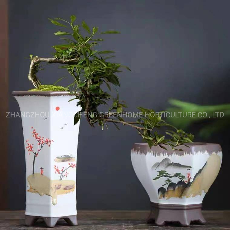 Ceramic Flower Pots Garden Ornaments Pottery Pot