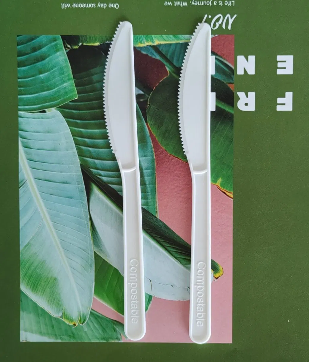 Wholesale Individual Packaging Compostable Cpla Cutlery Spoon Fork Knife Utensils