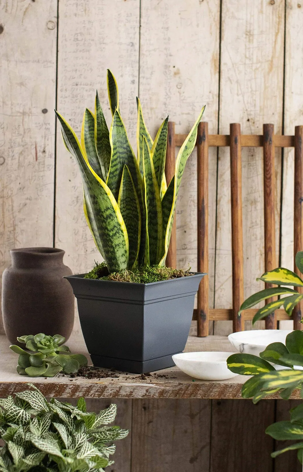 Квадратный поддон для цветов, синий, для дома и улицы