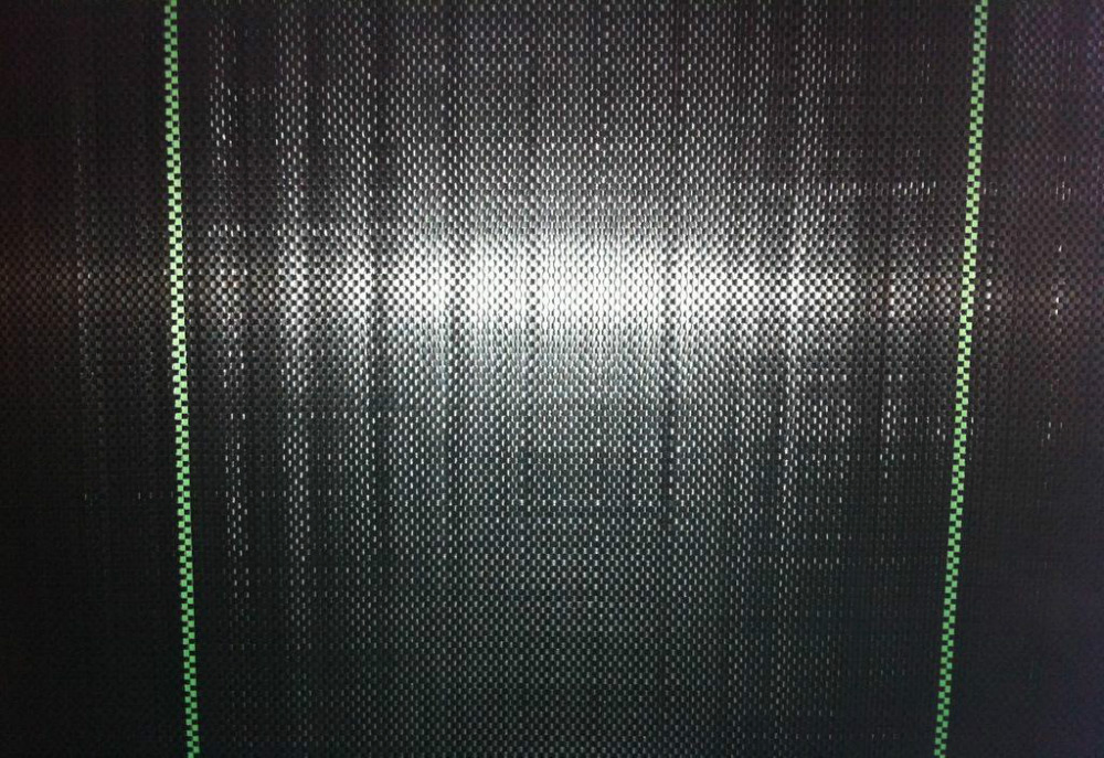 PP Woven Fabric Greenhouses Weed Mat Black Mat