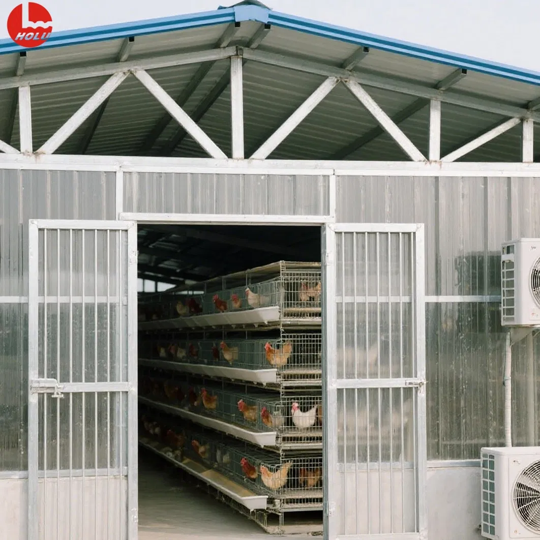 Modular Light Steel Frame Poultry House for Commercial Chicken Farming with Anti-Corrosion Coating