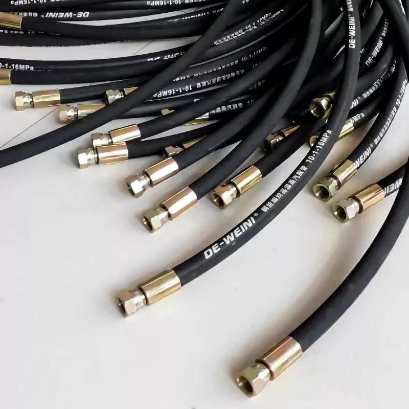 SAE 100r2 Hydraulic Hose/Hydraulic Hose R2/Hydraulic Hose SAE R2at/Parker Hydraulic Hoses (ID: 1")