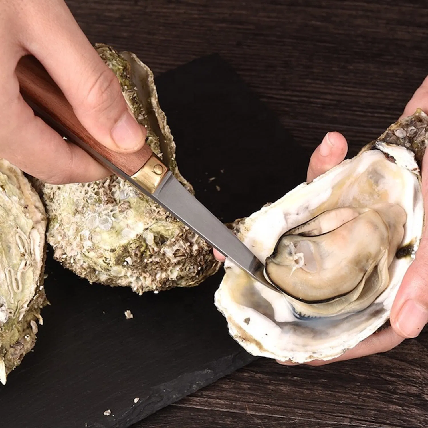 Нож для устриц с деревянной ручкой