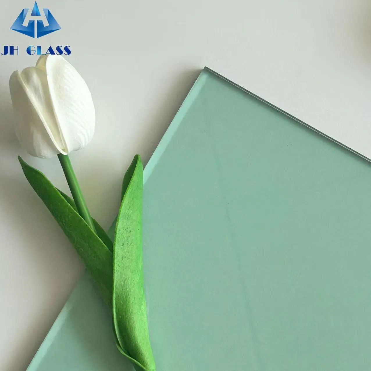 5mm, 6mm, 8mm, 10mm F Green/Black Tinted Glass for Door and Window