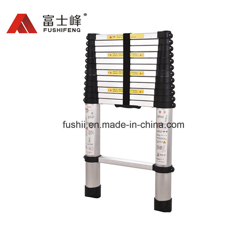 Aluminum Multi Purpose Ladder with 12 Steps