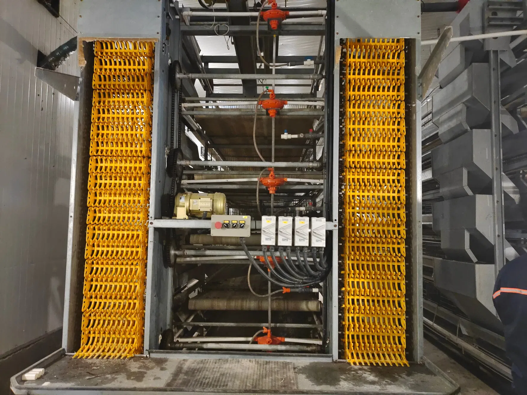 Prefab Chicken Egg Collection System Steel Layer House