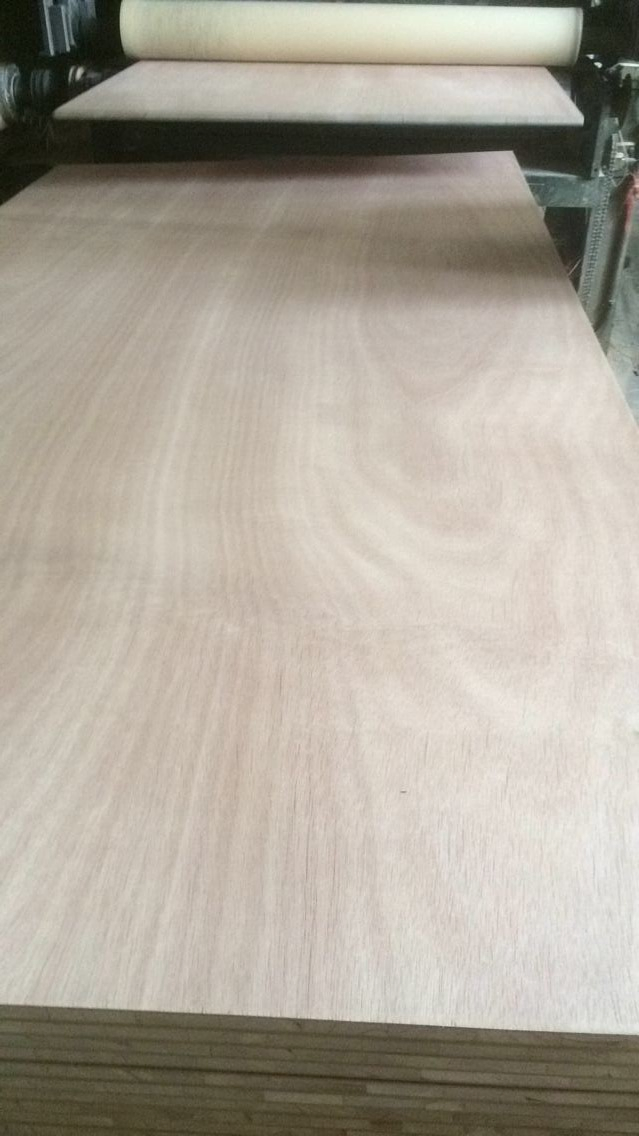 Factory-Red Oak Fancy Paulownia Wood Blockboard Imported Facalta Core Plywood 18mm Sale in Mexico