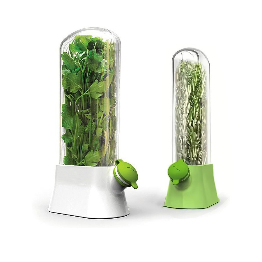 Wholesale Creative Coriander Fresh-Keeping Cup Vanilla Vegetable