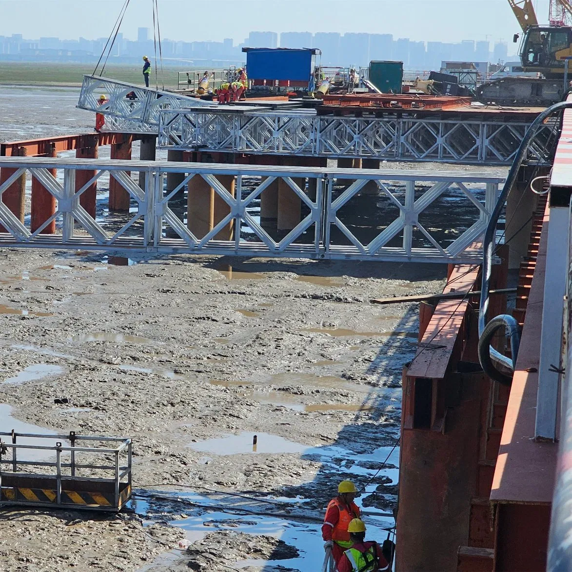 Bailey Temporary Bridge Modern Steel Structure Truss Pedestrian Bridge