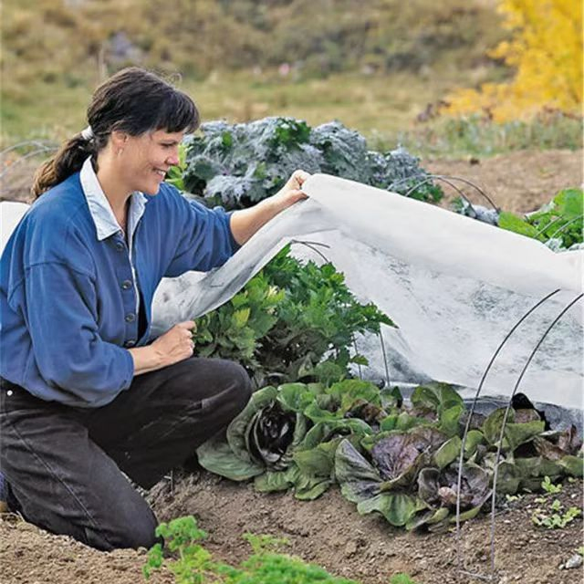 Premium White Insect Netting 3X6m for Garden Protection