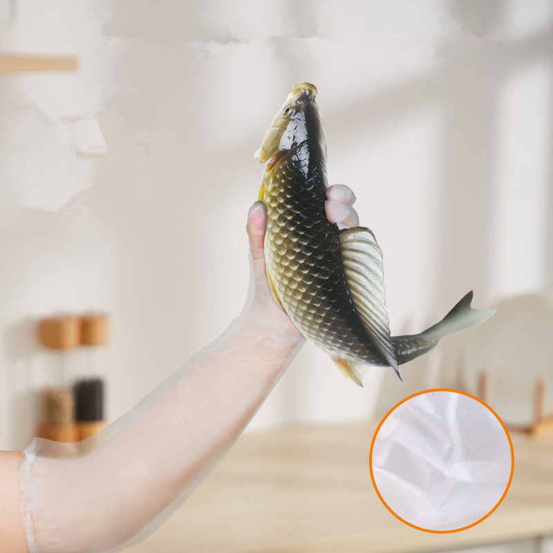 Disposable Gloves Food Plastic Gloves Restaurant Kitchen BBQ Eco-Friendly Food Gloves