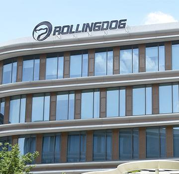 Набор кистей Rollingdog PRO 81462, 6 шт, плоские и круглые