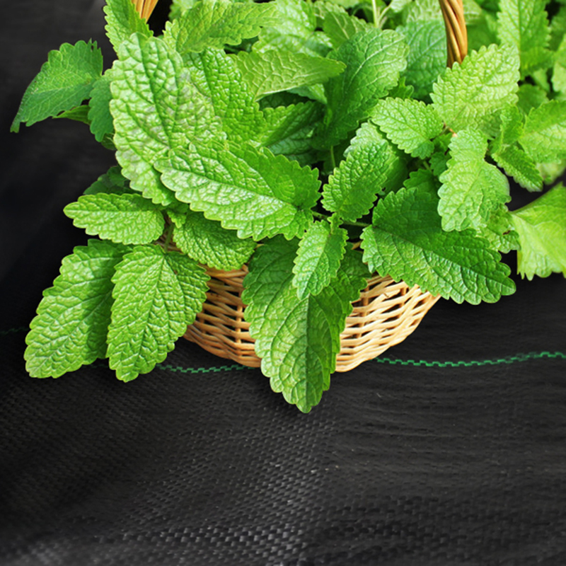 Versatile Landscape Weed Barrier Mat for Garden Use