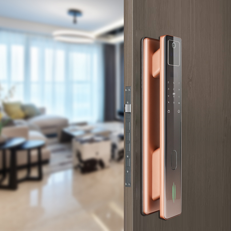 WiFi Fingerprint Digital Door Lock Automatic Smart Lock with Camera
