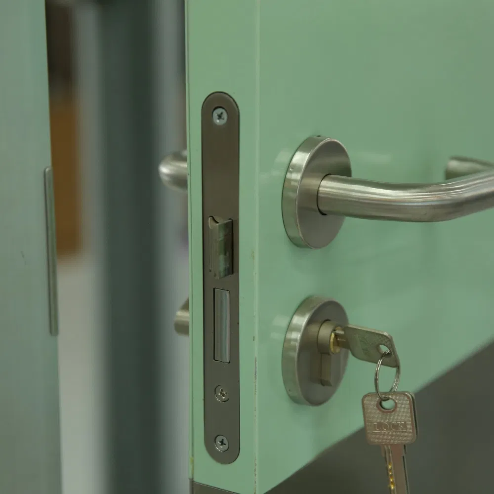 CE Certified Steel Swing Door with Fire Prevention for Hospital Clean Room Manual Opening Sliding Door Hermetic Clean Room Door