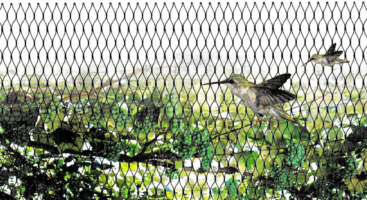 Bird Net Anti-Bird Corn Protection