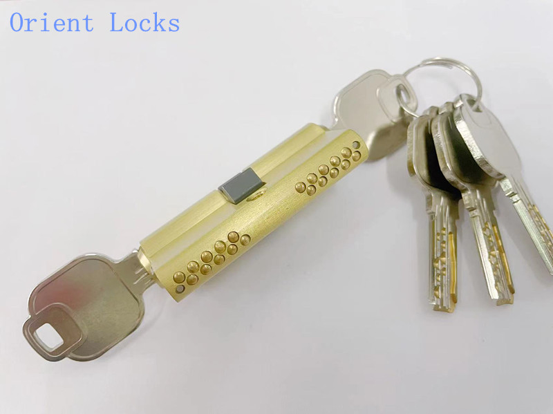 Mortise Lock Double-Line Pin Snake Key Way Euro Cylinder Lockbody with Emergency Function