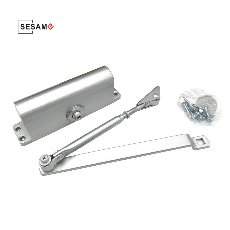 Door Closer Lock with Aluminum Alloy Suitable for Door Weight 30-45 Kg (SDC-061) Door Lock with Access Control System