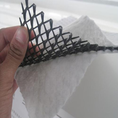 3D Composite Geosynthetics Net Drainage Network for Drainage Layer Geonet Geomat
