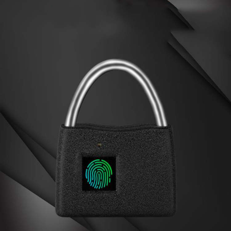 Rechargeable Smart USB Type-C Fast Charging Padlock Smart Fingerprint Electronic Lock