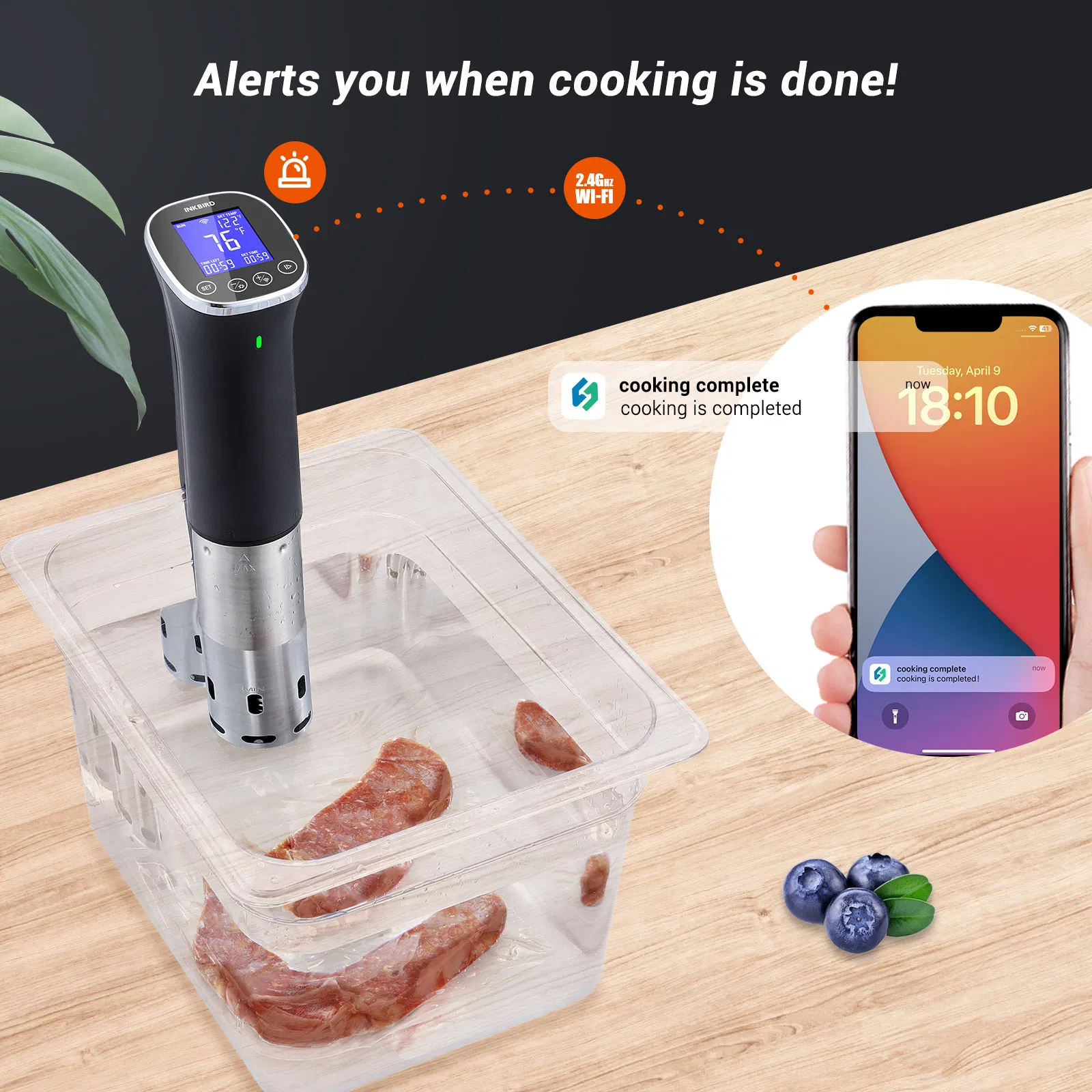 Inkbird Isv-300W Ipx7 Waterproof WiFi Sous Vide Machine
