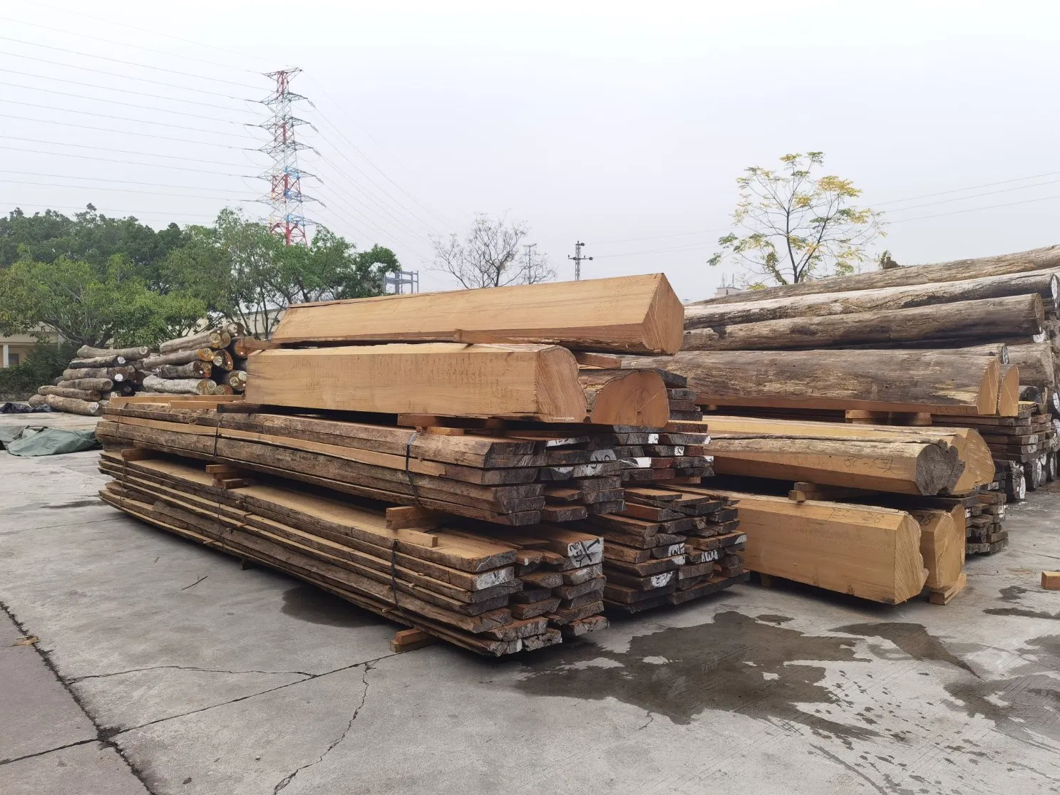 Authentic Burmese Logs Teak Boards Furniture Decks Thai Teak