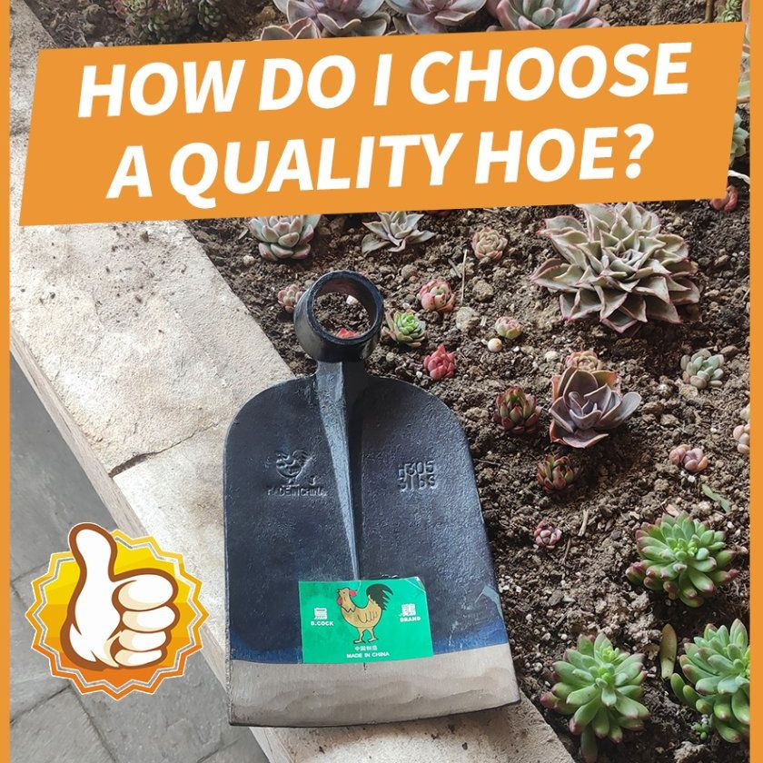 Hot Selling Steel Digging Uganda Hoe H304 3lbs Hoe Garden Tool