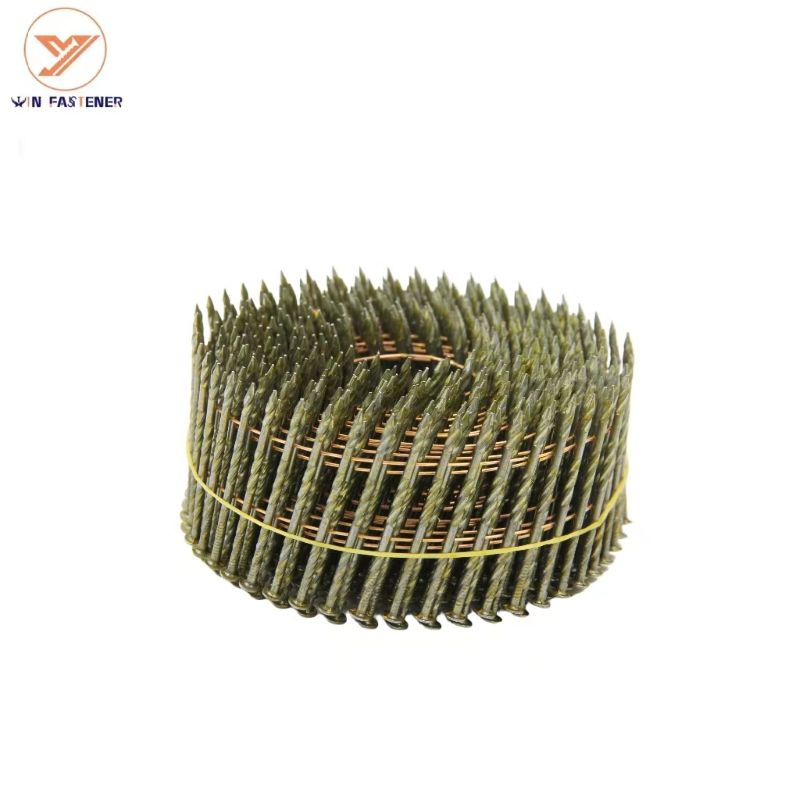 High-Quality Galvanized Coil Roofing Nails, a Premium Construction Material