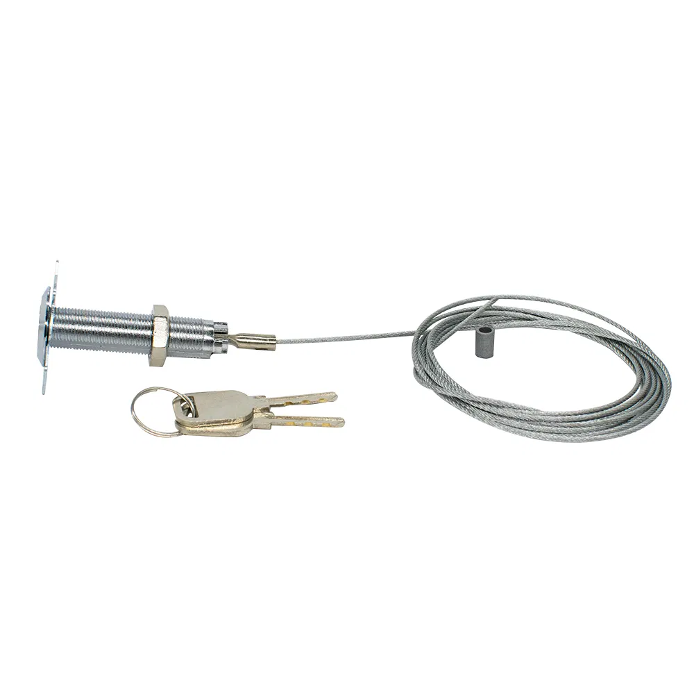 Garage Gate Door Lock Rolling Door Shutter Door Gate Emergency Lock with 2 Keys Cobber Lock Mechanism Steel Wire 2m