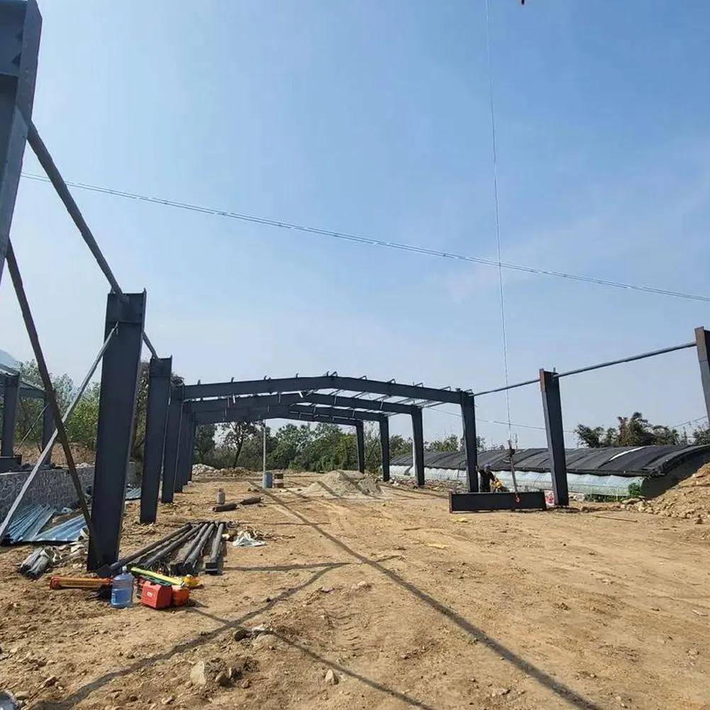 Prefabricated Steel Structure Livestock Farm Building