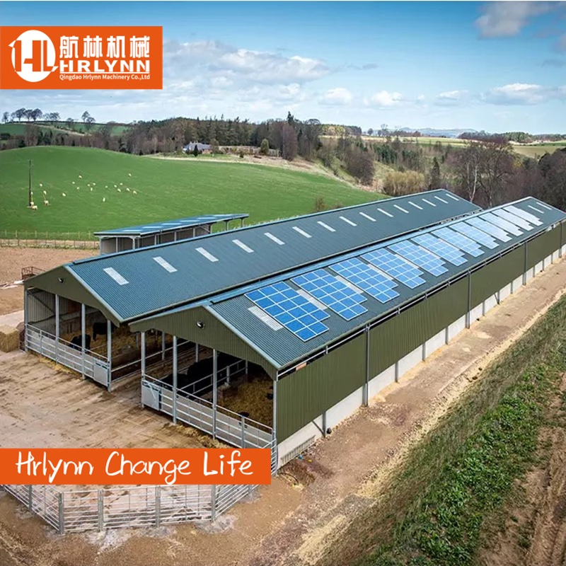 Steel Structure Broiler Chicken Coop House Poultry House