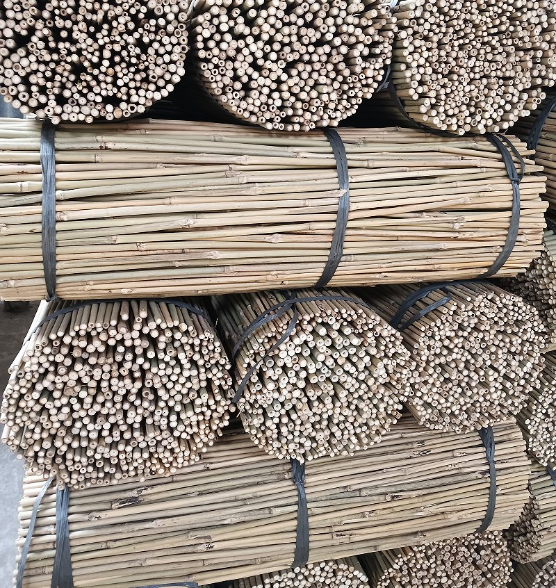 Cheap Bamboo Cane Agricultural Support Bamboo Poles