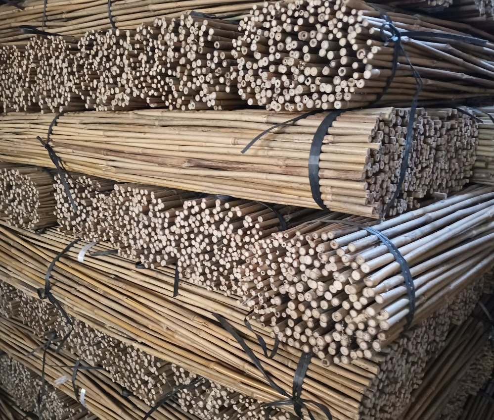 Chinese Bamboo Pole Raw Materials/Tea Bamboo