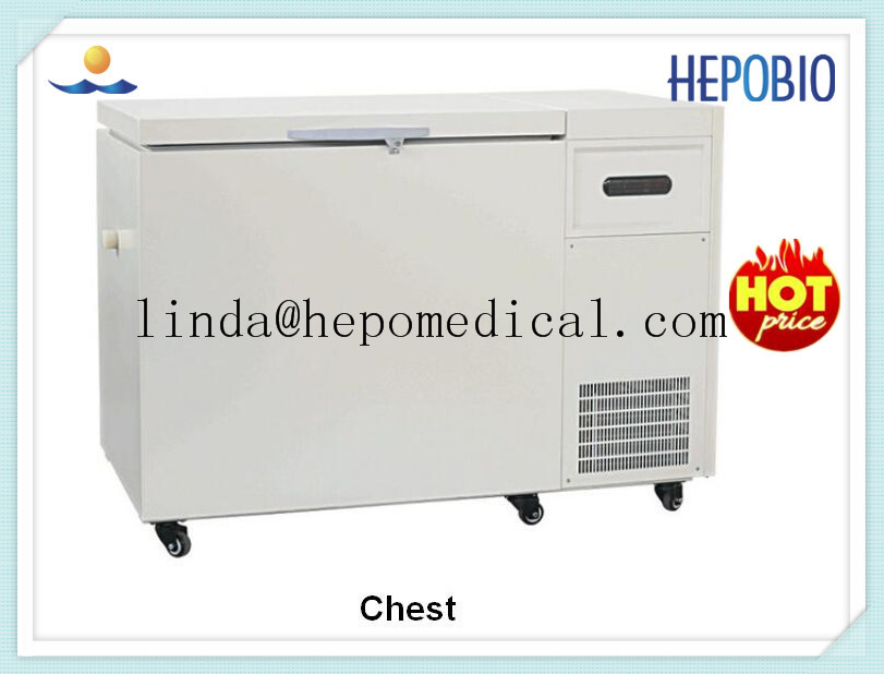Factory 200L Solar Power Deep Freezer Price with Top Quality (HP-CXL160)