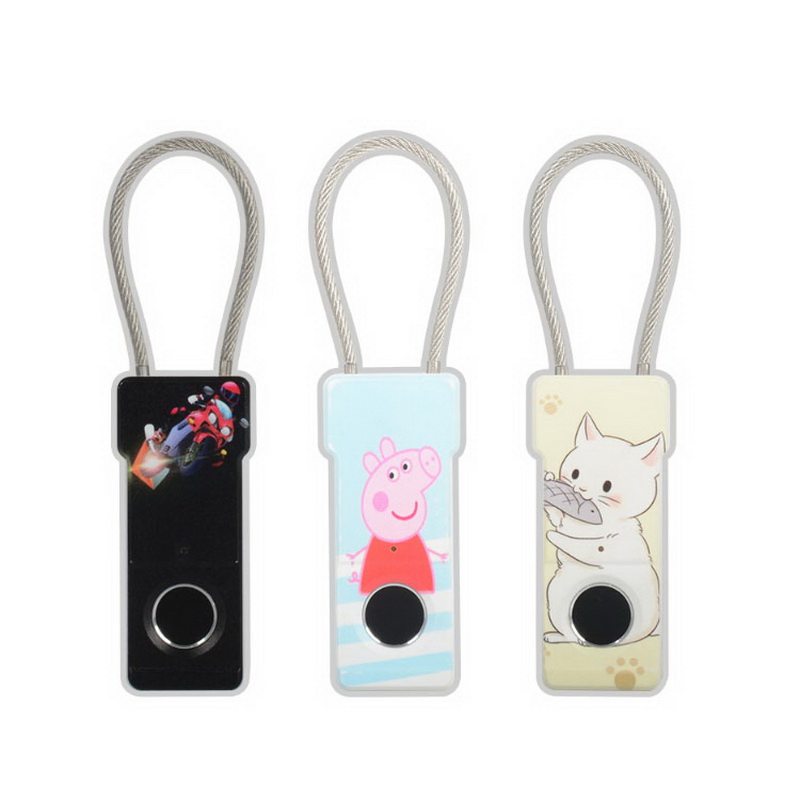 Safe Biometric Keyless Fingerprint USB Rechargeable Electric Smart Padlock