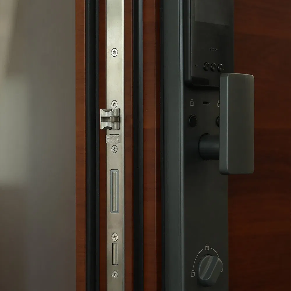 High-End Customize Houses Exterior Front Entry Doors Aluminium Main Entrance Door