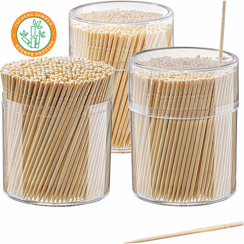 Individually Toothpicks Plastic Dental Floss Toothpicks