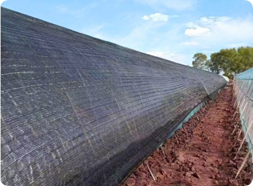 Agricultural Net/Dark Green Sun Shade Net for Agriculture Greenhouse Shade