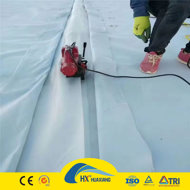 Two Textile One Membrane PE Composite Geomembrane Used in Anti-Seepage