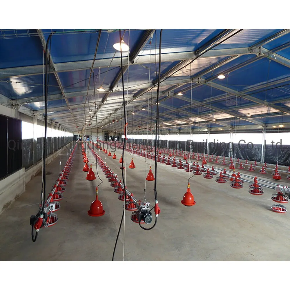 Prefabricated Building Galvanized Steel Structure Farming Shed Chicken Poultry House