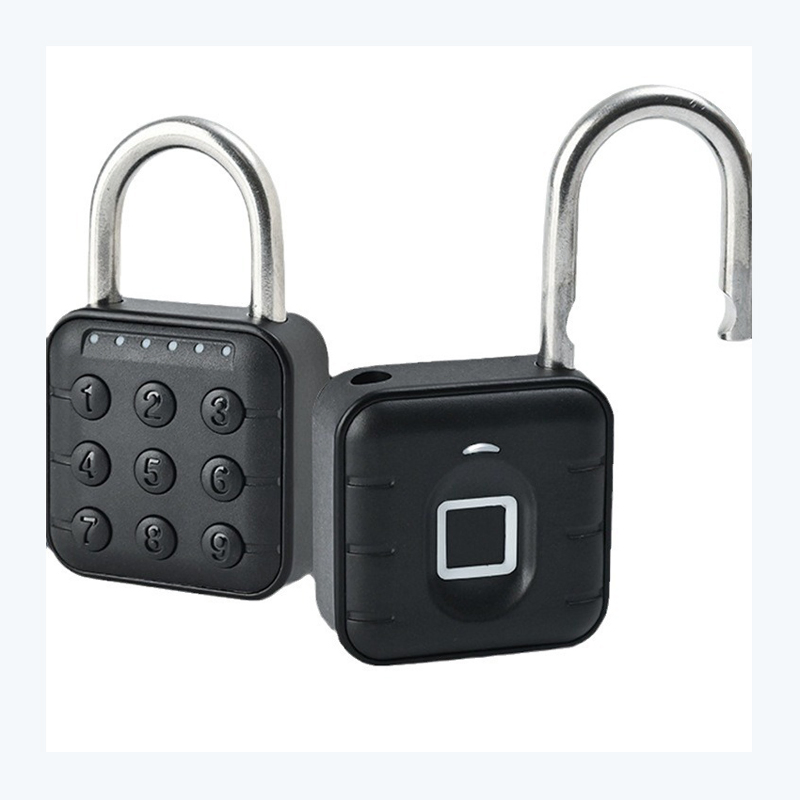 Fingperint Padlock Zinc Alloy Material U-Type Electronic Smart Password Padlock (SY12) Door Lock with Access Control System