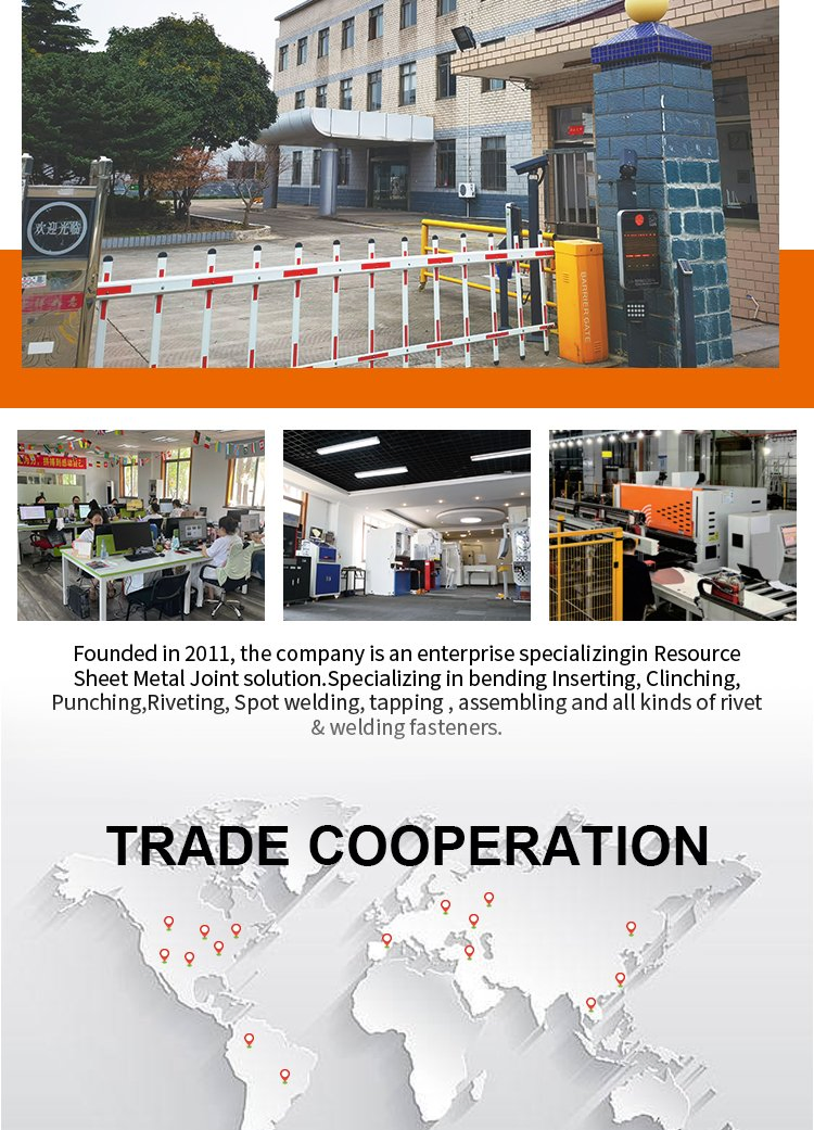 Cost-Efficient Automatic Riveting Machine Indusry Level Design Made in China