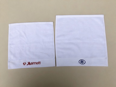 Wholesale 5 Star Luxury Bathroom 100% Cotton Linen Plain Weave Terry Hotel Bath Towel