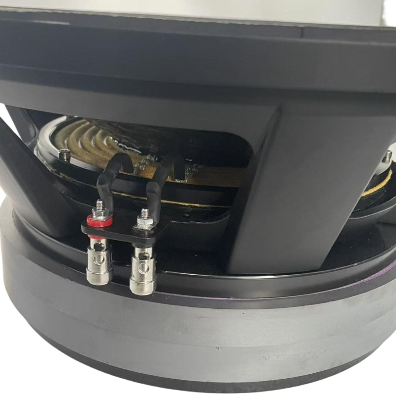 Профессиональный 18-дюймовый сабвуфер для DJ и PA систем