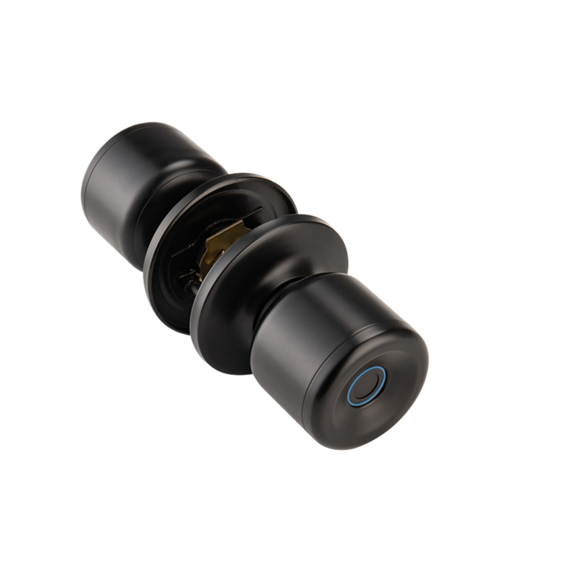 Multi-Factor Authentication Smart Lock with CS8 Technology