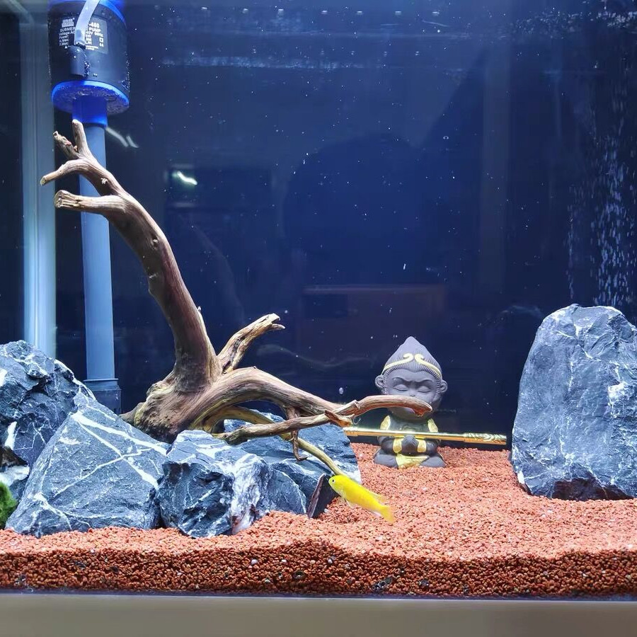 Natural Aquascaping Seiryu Stone for Aquariums and Terrariums