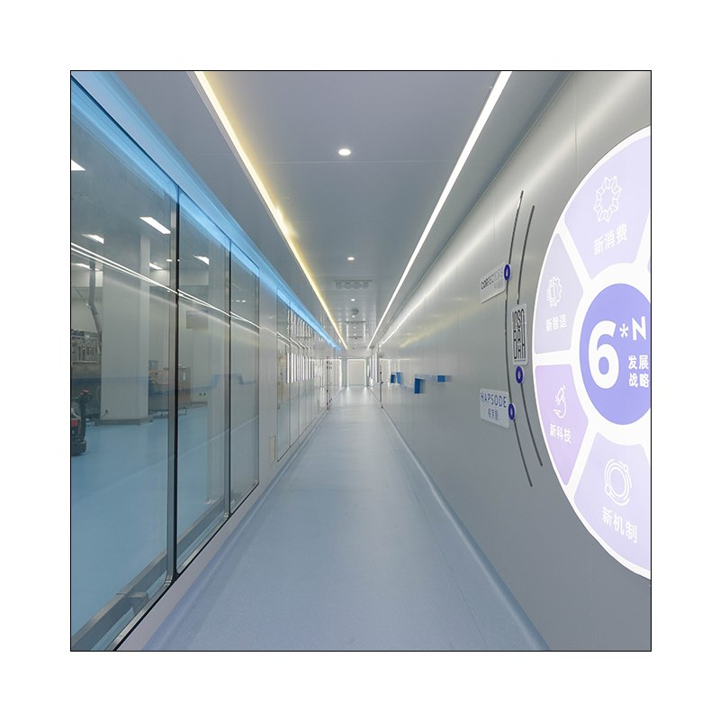 High-Quality Electrical Semiconductor Cleanroom Compliant with GMP Standards, Equipped with Air Showers and Pass Boxes