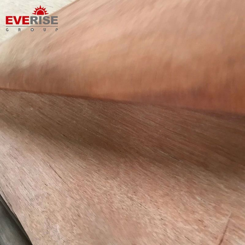 0.25mm 3mm/Gurjan Wood/Engineered Wood/EV Gurjan/Keruing Veneer