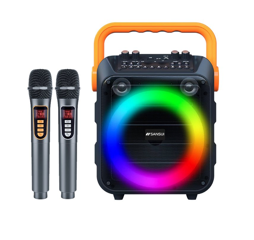 Karaoke Machine with 2 Wireless Microphones