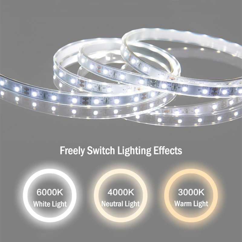 Intelligent Wall Mounted Black Frame Round LED Mirror Touch Screen Bathroom Mirror with LED Light